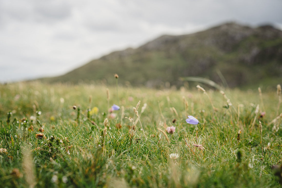 Letting nature reveal itself