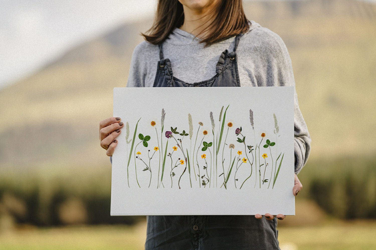 Irish Wildflowers