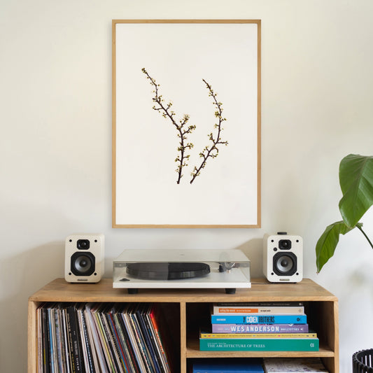 Blackthorn I