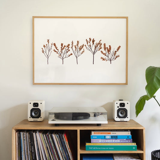 Bog Myrtle Forest I
