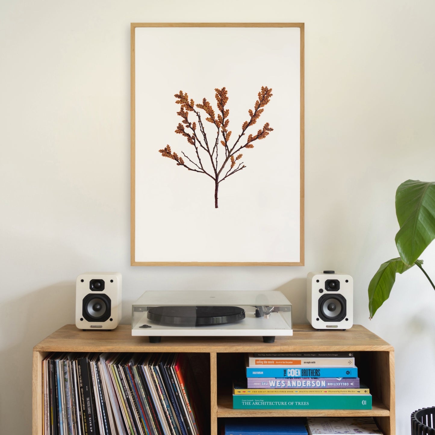 Bog Myrtle IV