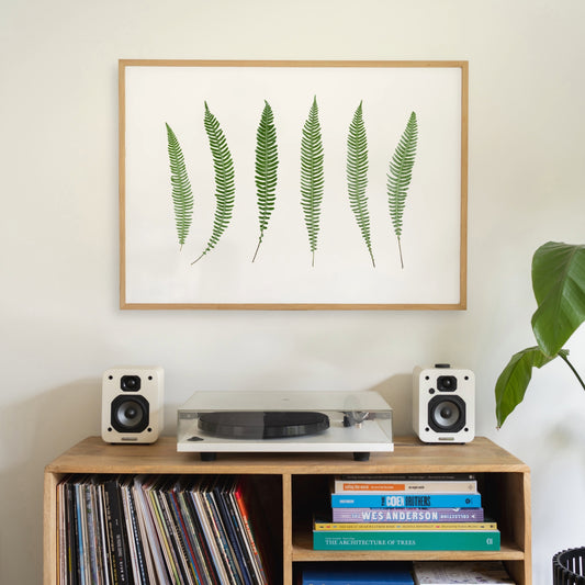 Glen Ferns