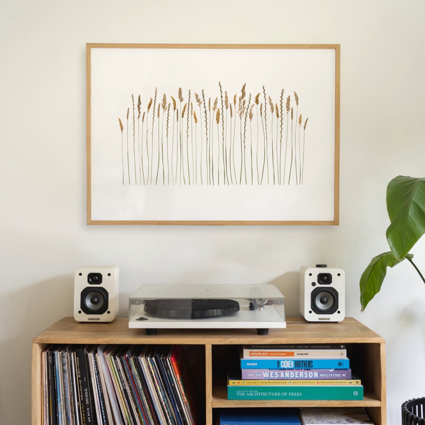 Malin Grasses