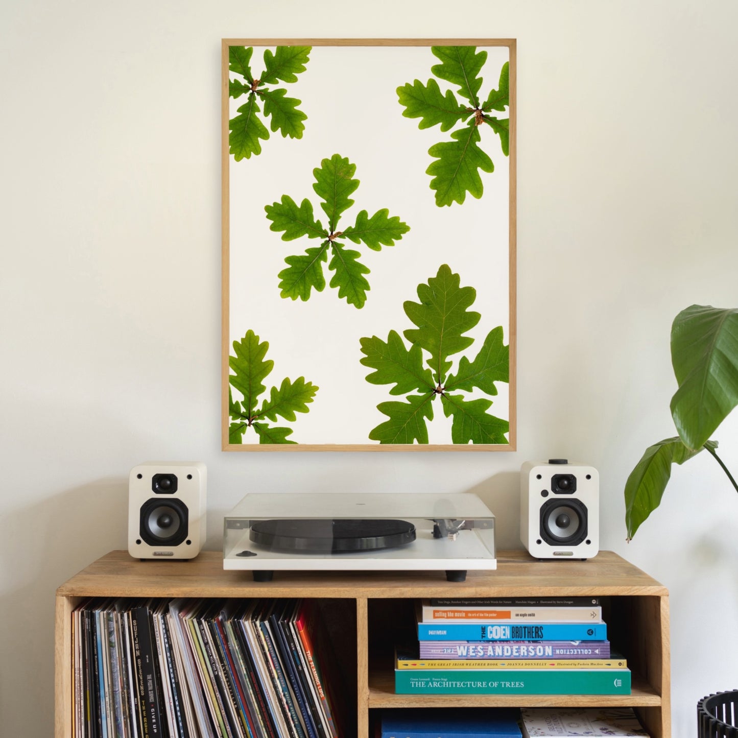Oak Leaves II