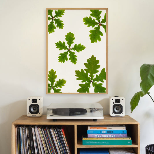 Oak Leaves II