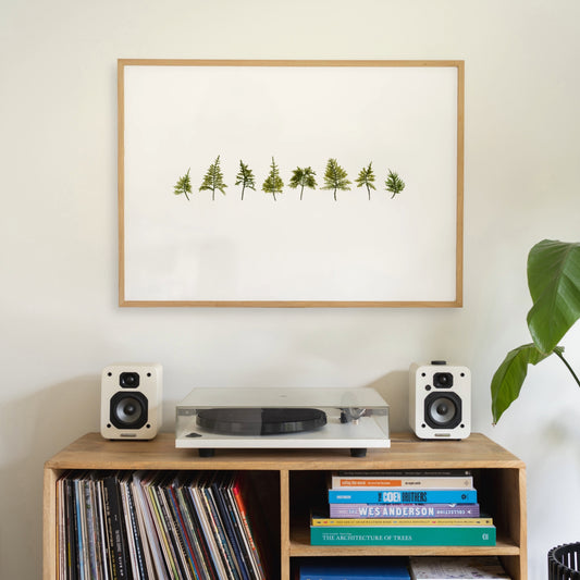 Wood Moss Forest