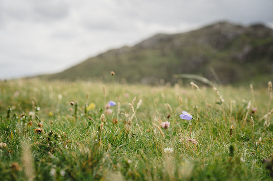 Letting nature reveal itself