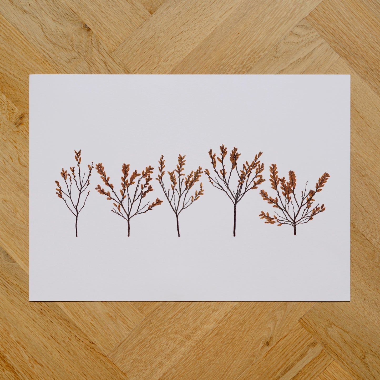 Bog Myrtle Forest I